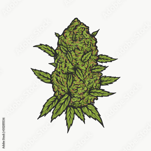 Fotografía Handdrawn vintage cannabis bud vector illustration
