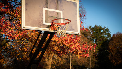 Fall basketball