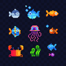 Set Of Sea Animals Characters, Jellyfish, Seaweed, Crab, Pixel Art 80s Style Isolated Vector Illustration. Cartoon Flat Style Fish Icons. Element Design For Mobile App And Sticker. Game Assets.