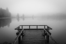 Grayscale Shot Of A Wooden Dock Near The Sea Surrounded By Trees Covered With Fog