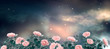© julia_arda - Fantasy fabulous panoramic banner background of magical night sky with shining stars, mysterious clouds and delicate romantic pink rose flowers garden. Idyllic tender heaven scene, copy space.