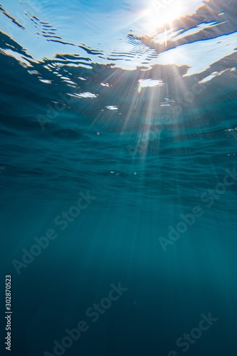 Beautiful scenery of the fascinating underwater world on the island of Bonaire, Canvas Print