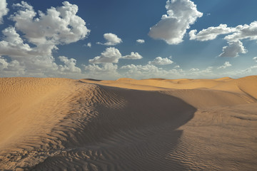 Wall Mural - boundless sand dunes of the Sahara desert