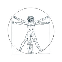 The Vitruvian Man, Leonardo's Man. Detailed Drawing Ink