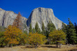 El Captitan mit Herbstwald im Yosemite National Park in Kalifornien