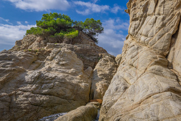 Wall Mural - Seascape of resort area of the Costa Brava near town Lloret de Mar in Spain