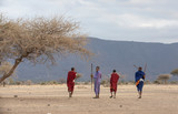 maasai warriors in a savannah