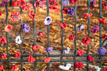 Remembrance Day, Sometimes Known Informally As Poppy Day.A Closeup Of Knitted Poppies To Commemorate Armistice Day In The UK