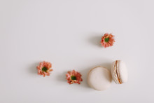 Tasty Macarons Cookies And Flowers On White Background. Colorful French Desserts. March 8, Spring  Background. Valentines, Women, Mothers Day Concept. Copy Space, Minimal Style, Flat Lay, Top View.