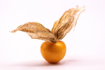 Wall Mural - Selective focus  close up cape gooseberry fruits (Physalis peruviana)isolated on white background.Commonly called goldenberry, golden berry, Pichuberry.