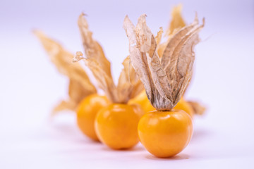 Wall Mural - Selective focus  close up cape gooseberry fruits (Physalis peruviana)isolated on white background.Commonly called goldenberry, golden berry, Pichuberry.