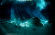 cenote grotte ambiance