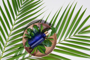 Wall Mural - blue serum bottle on wood plate with green leaves on white background. spa and beauty concept.