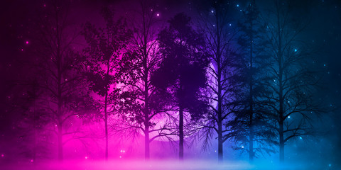 Wall Mural - night landscape, dark forest, river. night sky, mountains. reflection in the water of moonlight. dar
