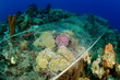 filet de peche sur recifs coralliens