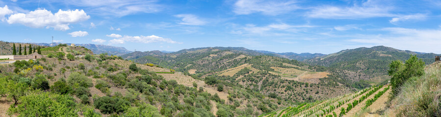 Wall Mural - The wide panorama of Priorat, Catalonia, Spain