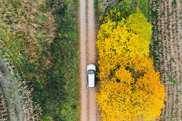 Aerial view of road in autumn forest. Beautiful landscape with rural road, trees with green, red and orange leaves. Drone photography