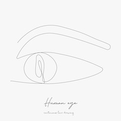 continuous line drawing. human eye. simple vector illustration. human eye concept hand drawing sketch line.