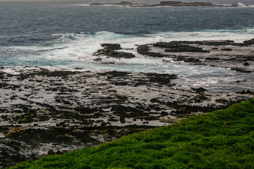 Wall Mural - Oceano australiano