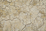 Fototapeta  - cracked earth texture