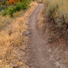 Wall Mural - Square frame Scenic view of a mountain hiking trail in Utah