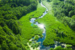 Small winding river and green swamps, aerial view