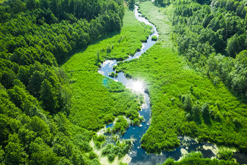 Wall Mural - Small winding river and green swamps, aerial view