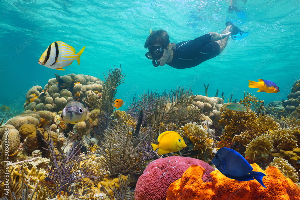 Solo snorkeler gliding through vibrant coral