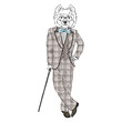 Humanized West Highland white terrier breed dog dressed up in vintage outfits. Design for dogs lovers. Fashion anthropomorphic doggy illustration. Animal wear suit, tie bow, glasses, walking stick