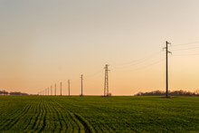 A Line Of Electric Poles With Cables Of Electricity In A Field With A Forest In Background In Autumn During Sunset.