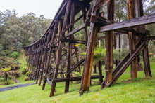 Noojee Trestle Rail Bridge In Victoria Australia