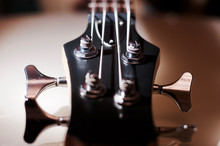 Bass Guitar Headstock Closeup