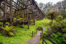 Noojee Trestle Rail Bridge In Victoria Australia
