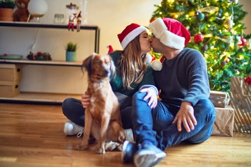 Wall Mural - Young beautiful couple smiling happy and confident.. Sitting on the floor wearing santa claus hat hugging dog around christmas tree at home