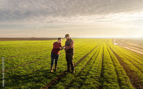 Fotomural Young farmers examing planted wheat