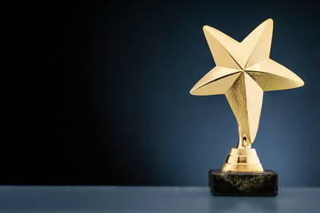 Wall Mural - championship or race trophy with a gold star