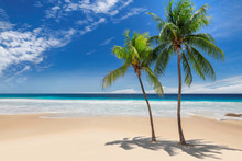 Tropical Paradise Beach. Palm Trees On Tropical White Sand Sunny Beach