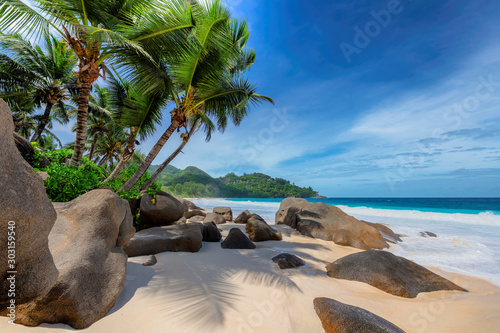 Photographie Tropical exotic beach and coconut palms