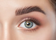 Beautiful woman with long eyelashes, beautiful make-up and thick eyebrows. Beautiful blue eyes close up. Looking at the camera. Cosmetology concept