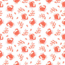 Funny Red Seamless Marine Pattern With Crab And Coral.   Sea Inhabitants. Hand Pencil Drawing. Isolated On A White Background.