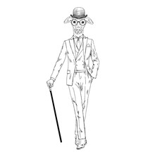 Humanized Italian Greyhound Breed Dog Dressed Up In Vintage Outfits. Design For Dogs Lovers. Fashion Anthropomorphic Doggy Illustration. Animal Wear Suit, Tie, Glasses, Walking Stick. Hand Drawn