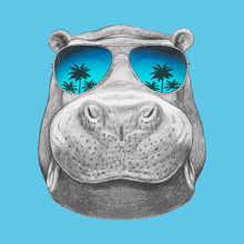 Portrait Of Hippo With Sunglasses. Hand-drawn Illustration. Vector Isolated Elements.	
