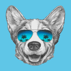 Portrait of Pembroke Welsh Corgi with sunglasses.Hand-drawn illustration. Vector isolated elements.	