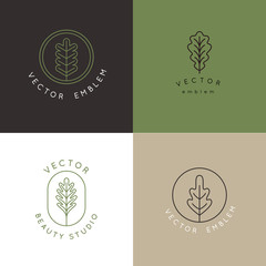 Poster - Vector logo design template with oak leaf - abstract emblem and symbol