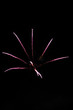 Buntes Feuerwerk - Colorful Firework 8