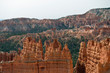 Bryce Canyon with hoodoos in front and trees behind