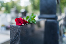 Rose On Tombstone. Red Rose On Grave. Love - Loss. Flower On Memorial Stone Close Up. Tragedy And Sorrow For The Loss Of A Loved One. Memory. Gravestone With Withered Rose