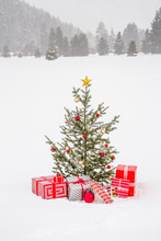 Real, Live Decorated Christmas Tree With Wrapped Gifts Presents In Beautiful, Snowy Nature Landscape Background. Simple, Natural, Country Style Holiday Decorations.