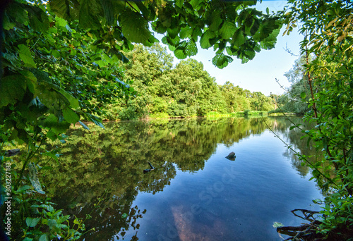 Fotografía Spring trees surrounding Rufford Park lake