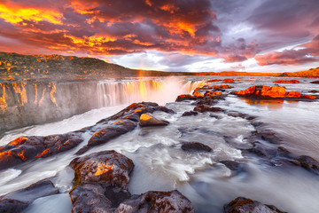 Wall Mural - Dramatic sunset view of fantastic waterfall and cascades of Selfoss waterfall.